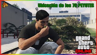 GTA 5 Online  UBICACIÓN DE LOS 76 PEYOTES EN ORDEN 380000RP [upl. by Ennaeel]