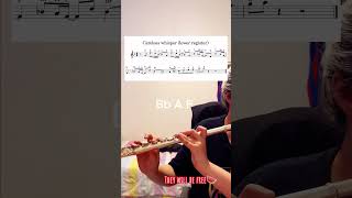 Careless whisper lowest flute register Flute tutorial sheet music [upl. by Hammer]