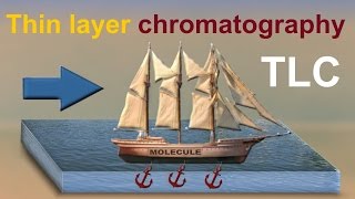 Thin Layer Chromatography TLC animation 2 [upl. by Nywroc]