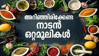 എല്ലാവരും അറിഞ്ഞിരിക്കണം ഈ ഒറ്റമൂലികൾ Health Tips Malayalam [upl. by Nosnorb339]