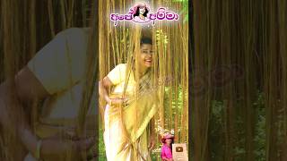 අහම්බෙන් හමුවුනු ලස්සන ශාකයක් Apé Amma [upl. by Ellecrag779]