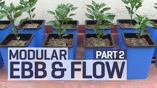 How to set up an Ebb and Flow  Flood and Drain Hydroponics Growing System  PART 2 of 6 [upl. by Lamrert]