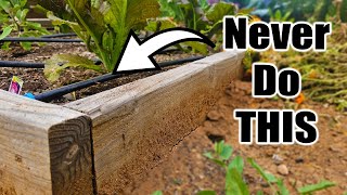 5 Beginner Raised Bed Garden WATERING MISTAKES to Avoid [upl. by Asilaj]