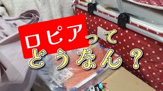 【人気の】ロピアってどんなん？【購入品紹介】 [upl. by Aerdnua91]