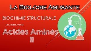 S3 BIOCHIMIE STRUCTURALE  les acides aminés  partie 2 [upl. by Ahsekam]