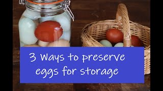 3 Ways to preserve eggs for food storage [upl. by Eniale]