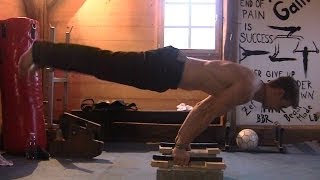 Dominik Sky  Calisthenics Tutorial Beginner to Advanced Part 1 Upper Body PRESSING HD [upl. by Nani878]