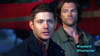 Supernatural Season 16 EVERYONE is Talking About Supernatural Return [upl. by Ragas]