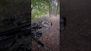 Long Island deer hunting 2023 season crossbow setup 🏹🦌 bogdeathgriptripod barnettcrosbow [upl. by Annalee290]