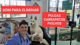 ELIMINAR CARRAPATOS PULGAS E PIOLHOS [upl. by Yulma401]