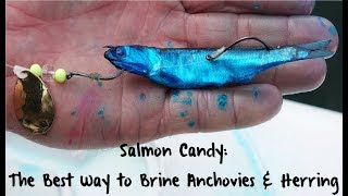 Salmon Candy The Best Way to Brine Anchovies amp Herring [upl. by Mort]