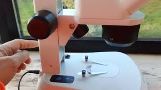 Looking at the stereo microscope for acarine testing [upl. by Hafeetal]