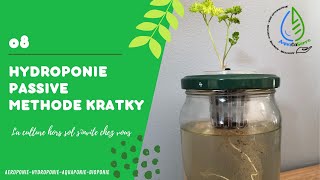 La méthode hydroponique Kratky [upl. by Atauqal]