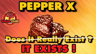 Pepper X  The Spiciest Scandal [upl. by Anatollo]