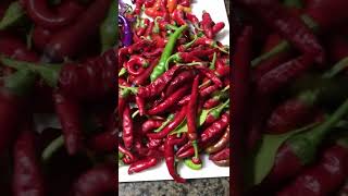 Fermented Cayenne Hot Sauce Recipe 2022 [upl. by Casie]