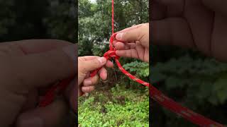 Wild Butterfly Knot bushcraft survivalskills camping outdoors [upl. by Lundell]