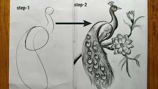 how to draw a peacock step by stepeasy peacock drawinghow to draw a peacock by pencil sketch [upl. by Resaec709]