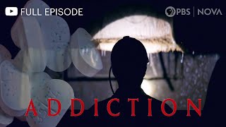 Addiction I Full Documentary I NOVA I PBS [upl. by Laux801]