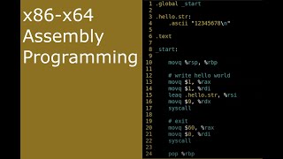 x8664 Assembly ASM 4  ascii and asciz [upl. by Atekan]