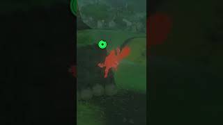 Surfing on farm in Breath Of The Wild shorts zelda botw totk [upl. by Andromada53]