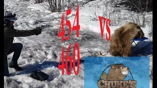 454 Casull and 460 Rowland Vs Grizzly Bear Meat Sack [upl. by Dyraj33]