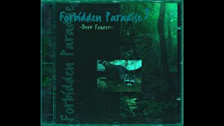 DJ Tiesto Forbidden Paradise 7 Deep Forest 1998 [upl. by Sello132]