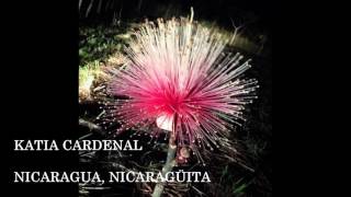 Katia Cardenal  Nicaragua Nicaragüita [upl. by Izaak]