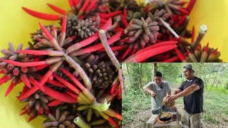 Temporada De Pemuches En La Huasteca Así Los Preparamos Y Ustedes Como Los Conocen [upl. by Horlacher]