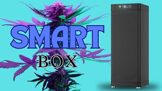 Starting to Grow in a SMART BOX [upl. by Lorac]