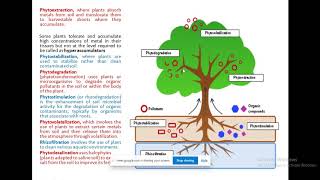 PHYTOREMEDIATION lIVE LECTURE [upl. by Mia]