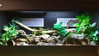 BRAZILIAN RAINBOW BOA CARE AND SETUP [upl. by Sliwa]