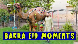 Bakra eid moments l Peshori vines [upl. by Hornstein]