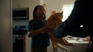 New Cat  Chewy Commercial [upl. by Nesyaj138]