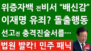 긴급 위증교사 1심 선고 앞두고 이재명 돌연 피고인 진술서 제출 전 성남시장 비서 quot인간적 배신감quot 중앙지법 발칵 진성호의 융단폭격 [upl. by Ellerey]