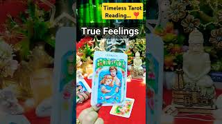 True Feelings shorts current feeling youtubeshorts tarot love viralvideo [upl. by Rodenhouse]