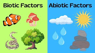 Biotic and Abiotic Factors [upl. by Sixel]