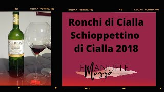 Degustazione Lo Schioppettino di Cialla 2018 [upl. by Yevre]