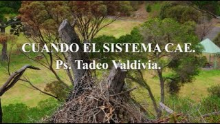 Cuando el sistema cae  Ps Tadeo Valdivia [upl. by Teador311]