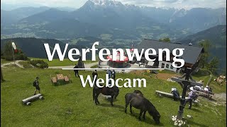 Webcam Werfenweng – Zauberhafter Almsommer in Österreich [upl. by Livvi]