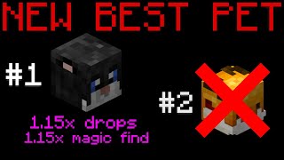 This Pet is SECRETLY OVERPOWERED Hypixel Skyblock Nerfed 1712024 [upl. by Tatia]