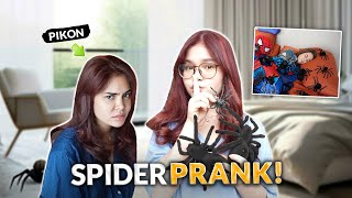 SPIDER REVENGE PRANK  IVANA ALAWI [upl. by Callum]