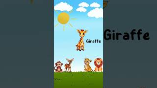 Meet the Zoo Animals Monkeys Giraffes Lions Tigers and Deer cartoon kids [upl. by Eigna]