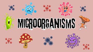 Microorganisms for Kids Good and Bad Microbes Explained Fun Educational Videos [upl. by Lawler]