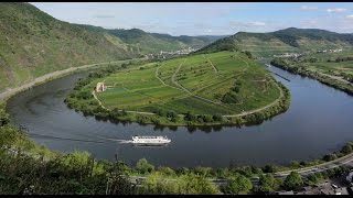 Mosel Wine harvest in Germany German Riesling in Moselle Valley Weinlese Deutschland Tourismus [upl. by Siduhey333]