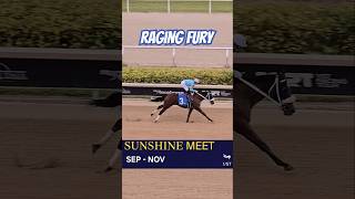 Raging Fury winning by a daylight in the 9th race GulfstreamPark SunshineMeet [upl. by Kuehnel427]