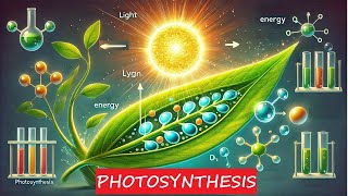 Photosynthesis [upl. by Asiruam]