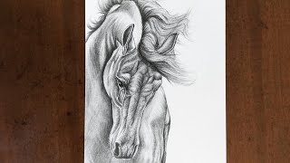 COME DISEGNARE UN CAVALLO REALISTICO IN BIANCO E NERO [upl. by Eilyk154]