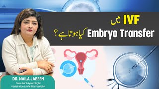 Understanding Embryo Transfer A StepbyStep Guide [upl. by Rosalia]