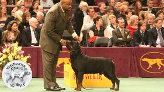 From the WKC Archives WKC Best in Show 2006 [upl. by Gaudette]