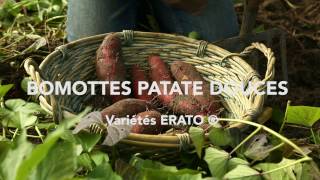 Patates douces  Bomottes [upl. by Ase]